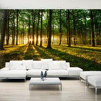 Fototapetas Artgeist Mystical Morning Ii 500280VFT1018SAM, 280 cm x 490 cm