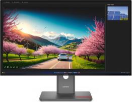 Lenovo ThinkVision P32UD-40 31.5", IPS, UHD, 120Hz