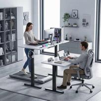 elektrinis remas - HOMCOM Reguliuojamo Aukščio Elektrinis Stalo Rėmas Juodas (Black) - 2 nuotrauka