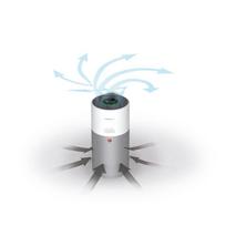 oro drekintuvo filtras - Hoover HHP 50 CA 011 H-Purifier 500 - 8 nuotrauka