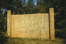 tvoros uzdanga - Nendrių tvora, 150x500cm - 2 nuotrauka