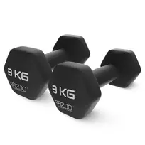 svarmenys 3 kg - Klasikiniai hanteliai 4Fizjo, 3 kg - 2 nuotrauka