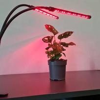 lempos augalams - 20 LED Lempa augalų auginimui - 2 vnt. - 9 nuotrauka