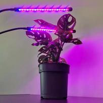 lempos augalams - 20 LED Lempa augalų auginimui - 2 vnt. - 10 nuotrauka