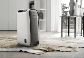 oro dregme - DeLonghi DNS65 Tasciugo AriaDry Light - 2 nuotrauka