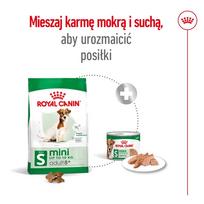 royal canin mini adult - Royal Canin Mini Adult 8  sausas maistas šunims, 2 kg - 5 nuotrauka