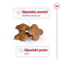 royal canin mini adult - Royal Canin Mini Adult 8  sausas maistas šunims, 2 kg - 6 nuotrauka