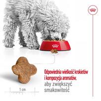royal canin mini adult - Royal Canin Mini Adult 8  sausas maistas šunims, 2 kg - 7 nuotrauka