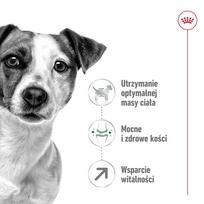 royal canin mini adult - Royal Canin Mini Adult 8  sausas maistas šunims, 2 kg - 8 nuotrauka