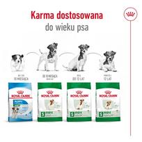 royal canin mini adult - Royal Canin Mini Adult 8  sausas maistas šunims, 2 kg - 9 nuotrauka