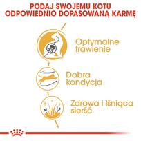 royal canin sausas maistas katems - Royal Canin Bengal Adult sausas maistas katėms 10 kg - 2 nuotrauka