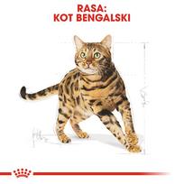 royal canin sausas maistas katems - Royal Canin Bengal Adult sausas maistas katėms 10 kg - 5 nuotrauka