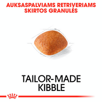auksaspalvis retriveris - Sausas Šunų Maistas - Royal Canin Auksaspalvis Retriveris 12 Kg - 2 nuotrauka