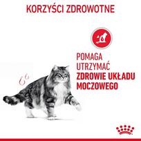 royal canin urinary katems - Royal Canin Urinary Care sausas maistas katėms 4 kg - 9 nuotrauka