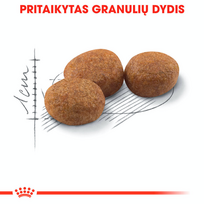 kates - Royal Canin Sterilised 37 sausas kačių maistas, 400 g Suaugusiems Paukštiena - 6 nuotrauka