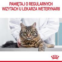 digestive - ROYAL CANIN Digestive Care 400 g - 4 nuotrauka