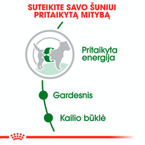 royal canin mini adulto 8 - ROYAL CANIN Mini Adult 16 kg (2 x 8kg) sausas maistas suaugusių mažų veislių šunims - 3 nuotrauka