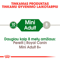 royal canin mini adulto 8 - ROYAL CANIN Mini Adult 16 kg (2 x 8kg) sausas maistas suaugusių mažų veislių šunims - 5 nuotrauka