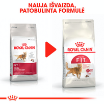 royal canin sausas maistas katems - Royal Canin FHN Fit 10kg - 2 nuotrauka
