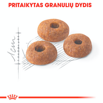 royal canin sausas maistas katems - Royal Canin FHN Fit 10kg - 5 nuotrauka