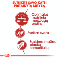 royal canin sausas maistas katems - Royal Canin FHN Fit 10kg - 6 nuotrauka
