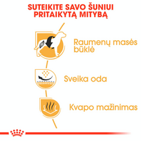 sunu maistas - Sausas Šunų Maistas - Royal Canin Prancūzų Buldogas Suaugusiųjų 9 Kg - 4 nuotrauka