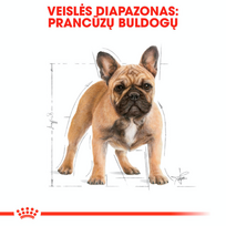 sunu maistas - Sausas Šunų Maistas - Royal Canin Prancūzų Buldogas Suaugusiųjų 9 Kg - 5 nuotrauka