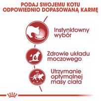 royal canin konservai katems - Royal Canin Instinctive in Gravy Pouch, 12x85 g - 3 nuotrauka