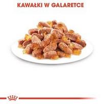 royal canin kitten instinctive in gravy - Royal Canin Kitten Instinctive in Gravy, 12 x 85 g - 10 nuotrauka