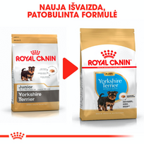 jorksyro terjero suniukai - Royal Canin Yorkshire Terrier Junior 7,5 kg - 3 nuotrauka