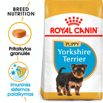 jorksyro terjero suniukai - Royal Canin Yorkshire Terrier Junior 7,5 kg - 5 nuotrauka