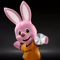 sausi akumuliatoriai -  DURACELL CR2016, 2vnt., litis, 3V - 3 nuotrauka