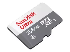sandisk sdxc 256gb - SDXC 256GB UHS-I/SDSQUNR-256G-GN6TA SANDISK - 3 nuotrauka