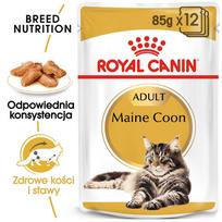 meskenas - Royal Canin Mainecoon 85 g maišelis 12 X 85 g - 2 nuotrauka