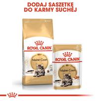 meskenas - Royal Canin Mainecoon 85 g maišelis 12 X 85 g - 3 nuotrauka