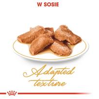 meskenas - Royal Canin Mainecoon 85 g maišelis 12 X 85 g - 5 nuotrauka