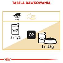 meskenas - Royal Canin Mainecoon 85 g maišelis 12 X 85 g - 7 nuotrauka