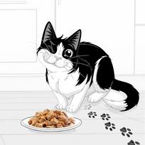 felix - Šlapias kačių maistas Felix Sensations Cat food Adult, 2.04 kg - 4 nuotrauka