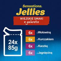 felix - Šlapias kačių maistas Felix Sensations Cat food Adult, 2.04 kg - 10 nuotrauka