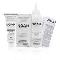 noah dazai - Noah Ilgalaikiai plaukų dažai 3.0 Tamsiai Ruda (Dark Brown) 140 ml - 2 nuotrauka