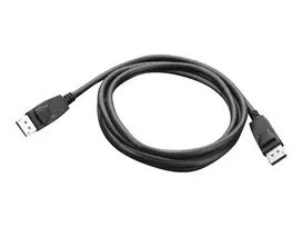 lenovo laidas - Lenovo DisplayPort 1.8m - 2 nuotrauka