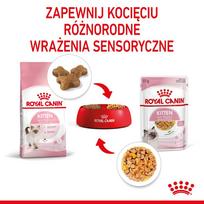 royal canin kitten instinctive in gravy - Royal Canin Kitten Instinctive in Gravy 12x85 g - konservuotas ėdalas - 3 nuotrauka