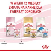 royal canin kitten instinctive in gravy - Royal Canin Kitten Instinctive in Gravy 12x85 g - konservuotas ėdalas - 8 nuotrauka