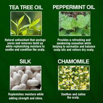 tea tree oil sampunas - Farouk Systems CHI Tea Tree Oil Shampoo 739ml - 4 nuotrauka