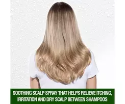 tea tree oil sampunas - Farouk Systems CHI Tea Tree Oil Shampoo 739ml - 5 nuotrauka