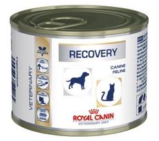 sunu maistas - Royal Canin Vet Dog/Cat Recovery 195 g - 2 nuotrauka