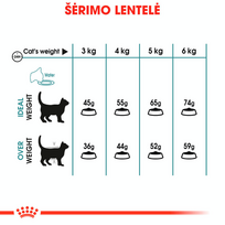 hairball - Sausas kačių maistas Royal Canin Hairball Care, 0.4 kg - 4 nuotrauka