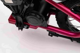 elektriniai motociklai - Elektrinis motociklas BAIGOR 23 PRO, Pink - 13 nuotrauka