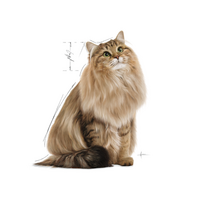 royal canin konservai katems - Šlapias kačių maistas Royal Canin Care Digest Sensitive, 0.085 kg, 12 vnt. - 7 nuotrauka