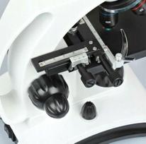 t30 - DeltaOptical Mikroskopas Biolight300 - 4 nuotrauka